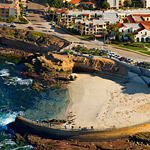 Welcome to La Jolla Cove, Home of the Seals